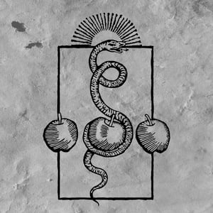 Image of Darvaza – We Are Him 12" LP