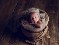 Image 4 of Honey bucket 