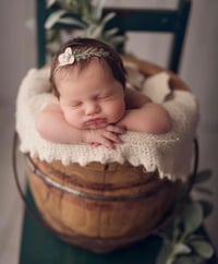 Image 5 of Honey bucket 