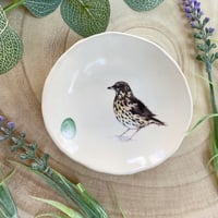 Image 1 of Thrush Handmade Ceramic Dish