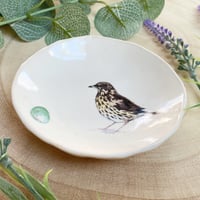 Image 2 of Thrush Handmade Ceramic Dish