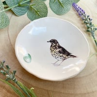 Image 3 of Thrush Handmade Ceramic Dish