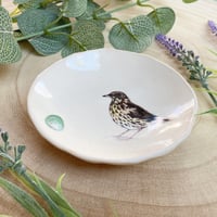 Image 4 of Thrush Handmade Ceramic Dish