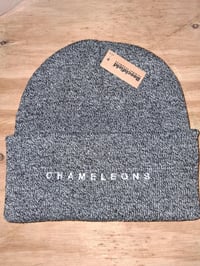Chameleons Beanie Hat