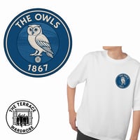 Image 2 of Sheffield Wednesday Print