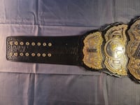 Image 2 of All Elite World Championship V3 16mm main plate SD stacked plates