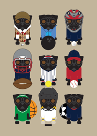 Image 11 of Pug Collection