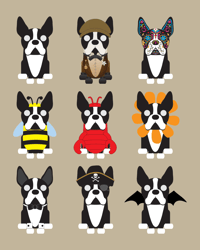 Image 5 of Boston Terrier Collection