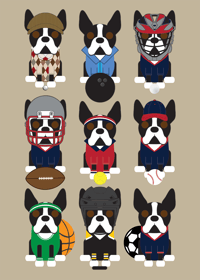Image 4 of Boston Terrier Collection