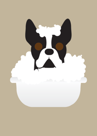 Image 2 of Boston Terrier Collection