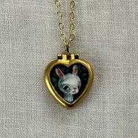 Image 1 of Cottontail