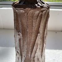 Image 2 of LK Bottle IV