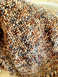 Image 2 of Tortoise