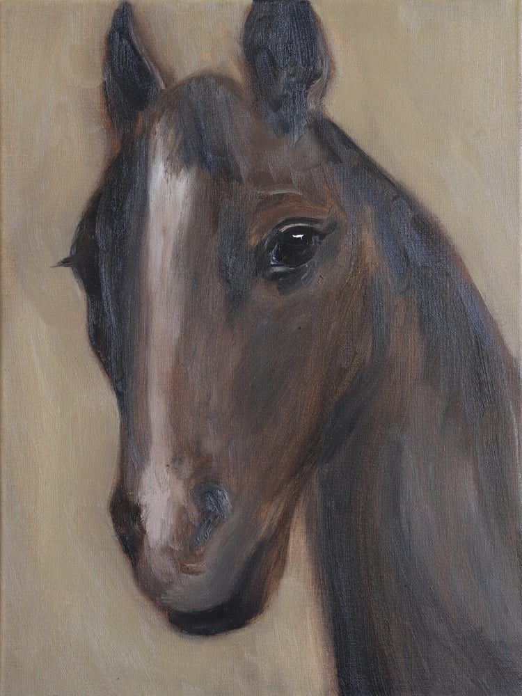 Image of Portrait d'un cheval