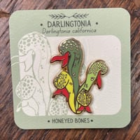 Image 1 of Darlingtonia Enamel Pin