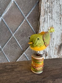 Image 3 of Sweet Pea