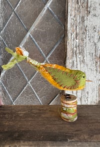 Image 5 of Sweet Pea