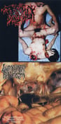 Image of  Lymphatic Phlegm / Torsofuck  Disgusting Gore and Pathology split CD