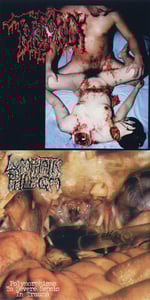 Image of  Lymphatic Phlegm / Torsofuck  Disgusting Gore and Pathology split CD