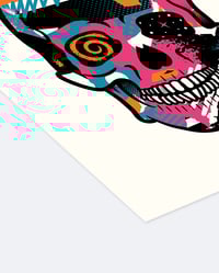 Image 2 of SKULL