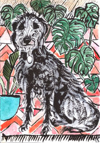 Image 3 of A5 Watercolour and Ink Pet Portrait Voucher