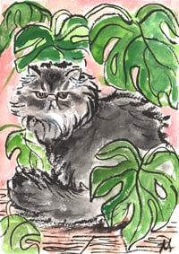 Image 1 of A5 Watercolour and Ink Pet Portrait Voucher