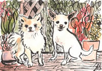 Image 4 of A5 Watercolour and Ink Pet Portrait Voucher