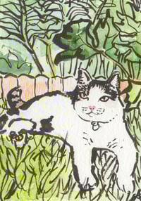 Image 1 of A6 Watercolour and Ink Pet Portrait Voucher