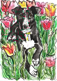 Image 1 of A4 Watercolour and Ink Pet Portrait Voucher