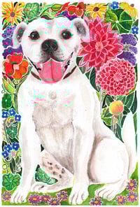 Image 4 of A4 Watercolour Pet Portrait Voucher
