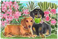 Image 5 of A4 Watercolour Pet Portrait Voucher