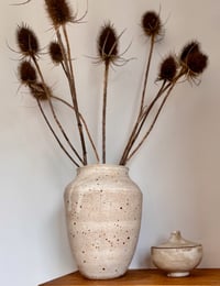 Image 1 of Stoneware Fleck Pot with Oatmeal Glaze