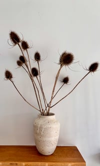 Image 2 of Stoneware Fleck Pot with Oatmeal Glaze