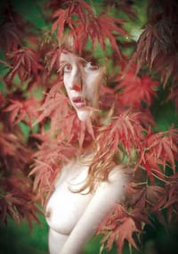 The Colour of Silence 