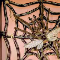 Image 2 of Subby Boyfriend