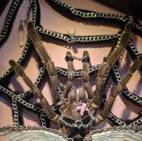 Image 3 of Subby Boyfriend