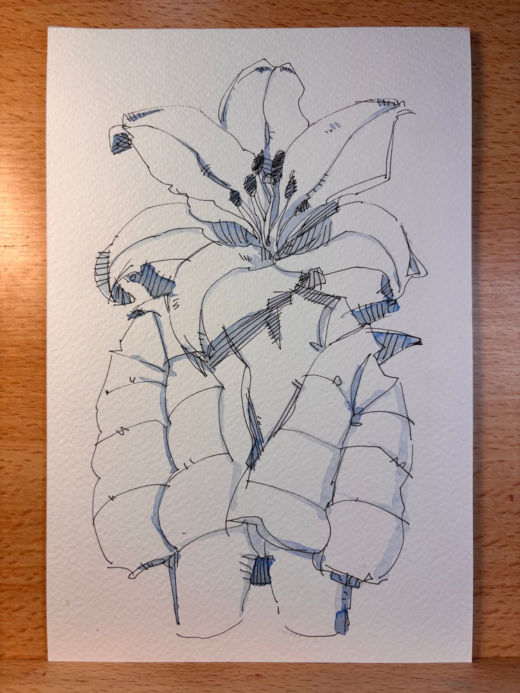 Image of Flower Girl 1 6x9 sketch