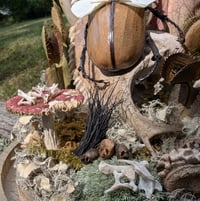 Image 3 of The Bone Collector