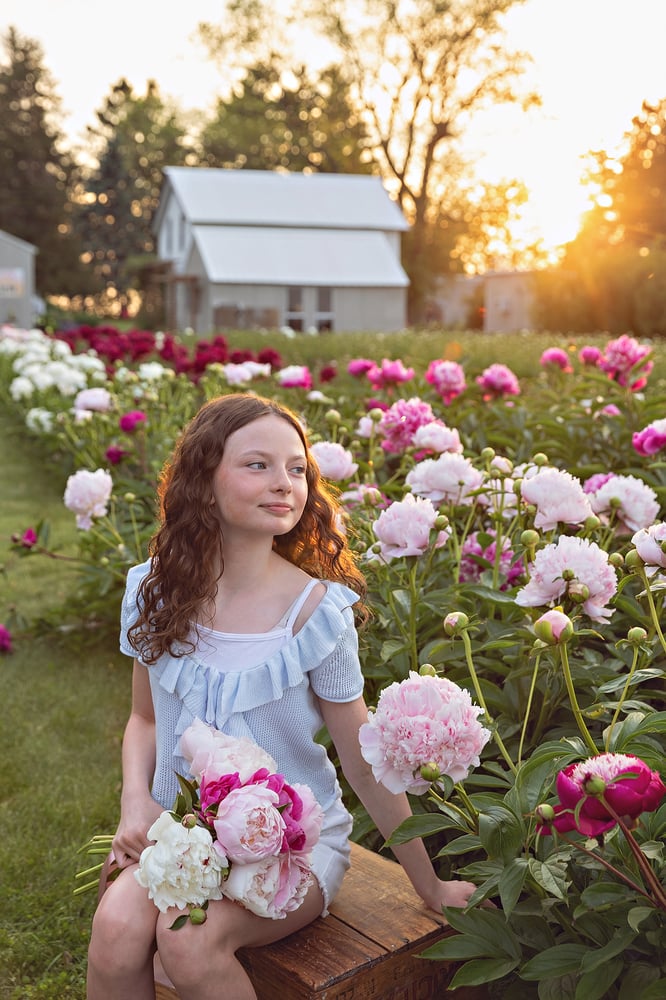 Image of Peony Farm Minis