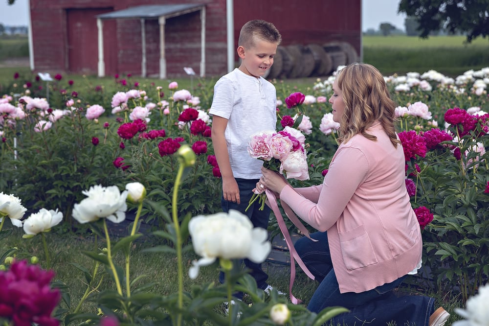 Image of Peony Farm Minis