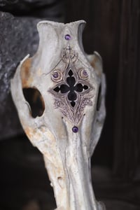 Image 4 of Teschio di Cinghiale🌙 -finestra gotica e ametista-