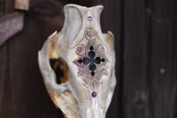 Image 5 of Teschio di Cinghiale🌙 -finestra gotica e ametista-