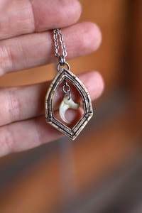 Image 3 of Finestra Gotica -artiglio di gatto-