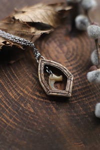 Image 5 of Finestra Gotica -artiglio di gatto-