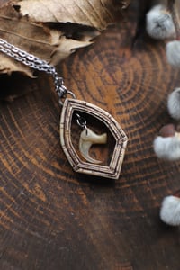 Image 2 of Finestra Gotica -artiglio di gatto-