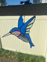 Image 5 of Humming bird 