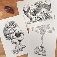 Image 4 of Reproduction • torpeur 2 - détermination