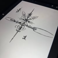 Image 1 of sketch 14