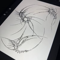 Image 1 of sketch 17