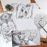 Image 4 of Carte postale • illuminer